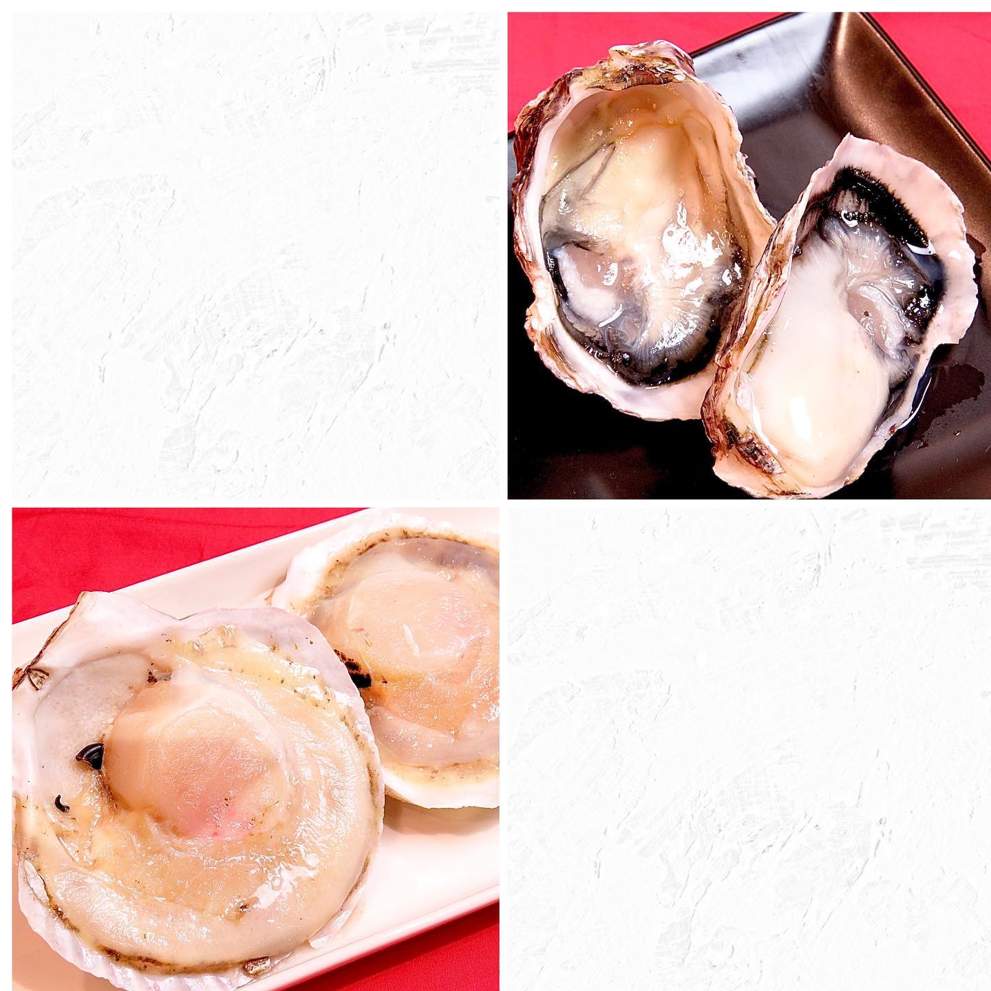 皆さんこんにちは！焼肉Jyuです！！最近風が強くて寒いですね〜！こんな日は外に出るのも億劫ですが、焼肉Jyuで寒さも吹き飛ばしましょう！今日紹介するのは海鮮！牡蠣とホタテです！｢え？焼肉Jyuってお肉だけじゃないの？｣と思ったそこのアナタ！そうなんです、実はお肉だけじゃなく、充実したサイドメニューもご用意しているんです！牡蠣とホタテは両方とも最初からあったメニューではなくあとから追加されたものなので、オープン当初お越しいただいた方はぜひこちらも試してみてくださいお酒を飲みながらじっくり焼いて食べると、おつまみに最高ホタテはとても食べやすく、ぺろっと行けちゃいます牡蠣は独特の風味がお酒にピッタリ️お肉だけじゃ物足りない方はぜひ！お1つからご注文いただけるので、おひとり様でも食べやすいですよ！Jyuの海鮮🦪ご用意してお待ちしています〜！ #焼肉jyu  #焼肉  #一人焼肉  #宮崎牛0985-89-2915 宮崎県宮崎市橘通西３丁目８−８午前11時〜翌4時(日曜日は午後10時まで)
